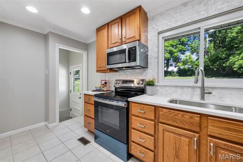 Tiny photo for 515 Golden Valley Drive, St Louis, MO 63129 (MLS # 26028481)