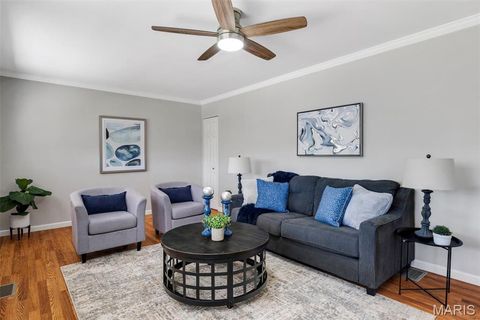 Tiny photo for 515 Golden Valley Drive, St Louis, MO 63129 (MLS # 26028481)