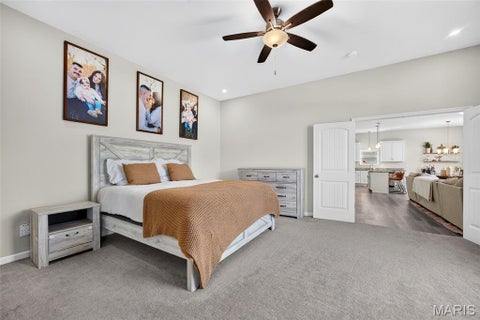 Tiny photo for 209 W Pine Creek Court, Wentzville, MO 63385 (MLS # 26026539)