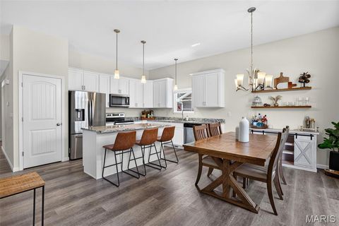 Tiny photo for 209 W Pine Creek Court, Wentzville, MO 63385 (MLS # 26026539)