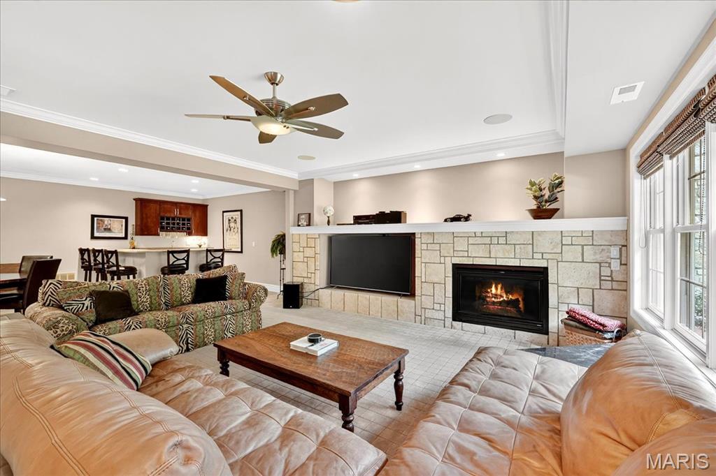 Villas At Meadowbrook The - Residential