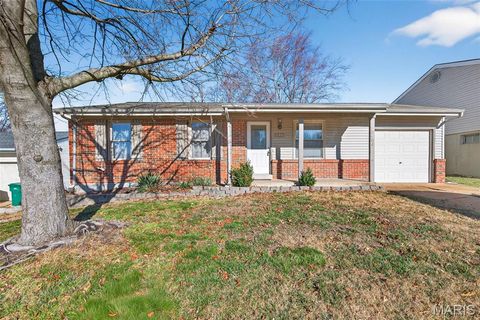 5409 Winthrop Drive High Ridge MO 63049