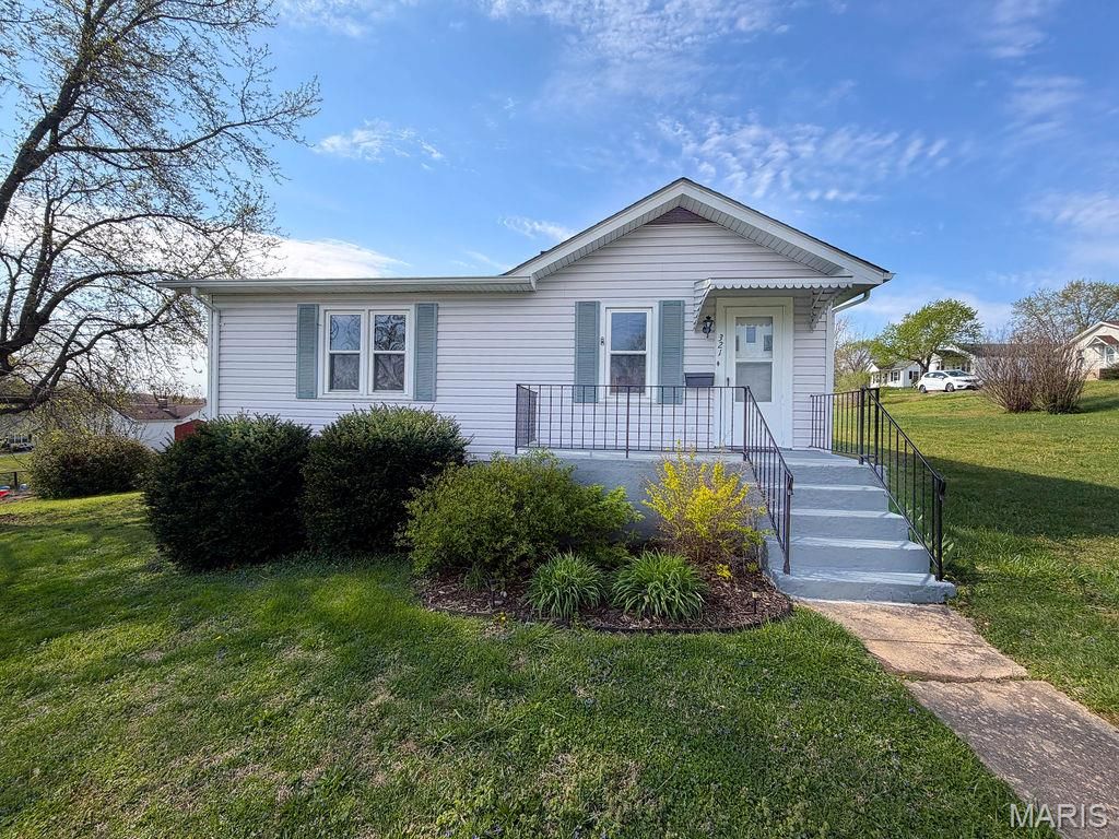 Photo of 321 Lake Street, De Soto, MO 63020 (MLS # 26029254)