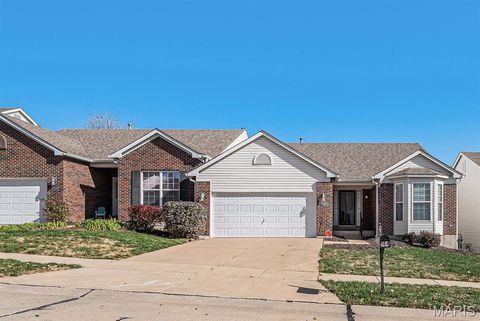 144 Carytown Lane Unincorporated MO 63034