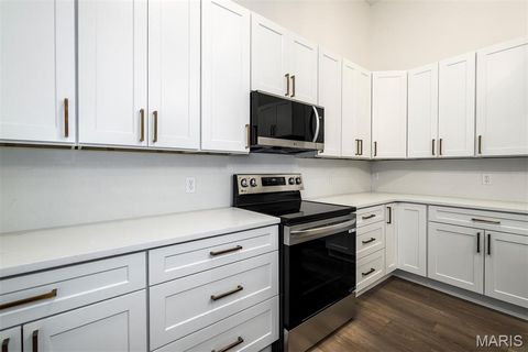 Tiny photo for 15278 Country Field Court, Chesterfield, MO 63017 (MLS # 25082550)