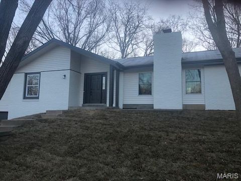 Photo of 15278 Country Field Court, Chesterfield, MO 63017 (MLS # 25082550)