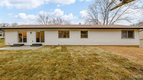 Tiny photo for 15278 Country Field Court, Chesterfield, MO 63017 (MLS # 25082550)