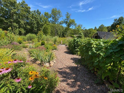 Tiny photo for 1420 M- State Route 14, West Plains, MO 65775 (MLS # 26058650)