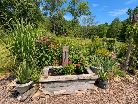 Tiny photo for 1420 M- State Route 14, West Plains, MO 65775 (MLS # 26058650)