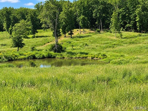 Tiny photo for 1420 M- State Route 14, West Plains, MO 65775 (MLS # 26058650)