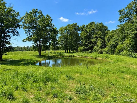 Tiny photo for 1420 M- State Route 14, West Plains, MO 65775 (MLS # 26058650)