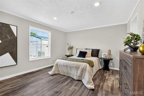Tiny photo for 847 Highway Ee, Unincorporated, MO 63389 (MLS # 26047336)