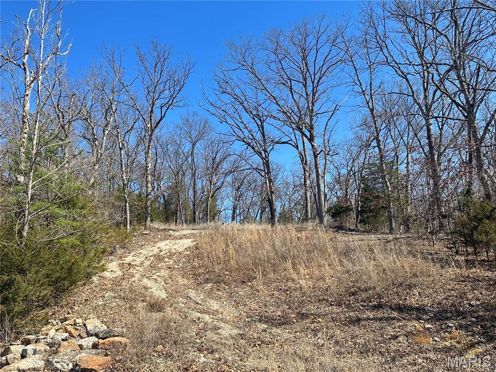 406 Mark Twain Loop