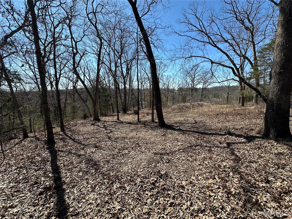 406 Mark Twain Loop