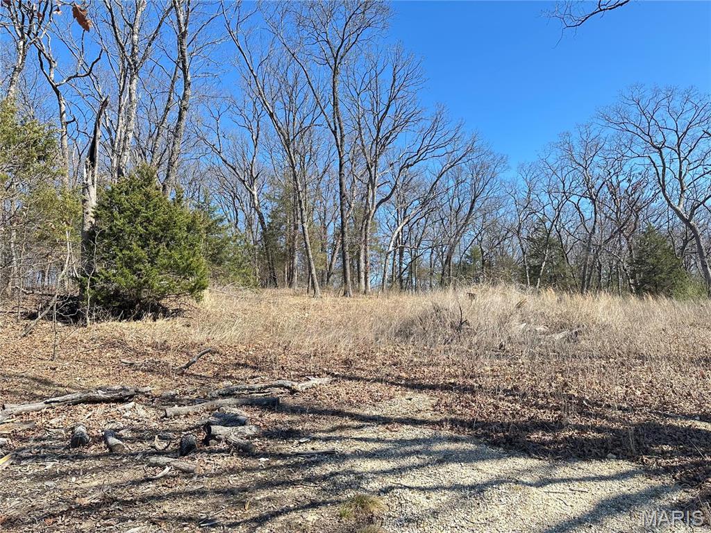 406 Mark Twain Loop