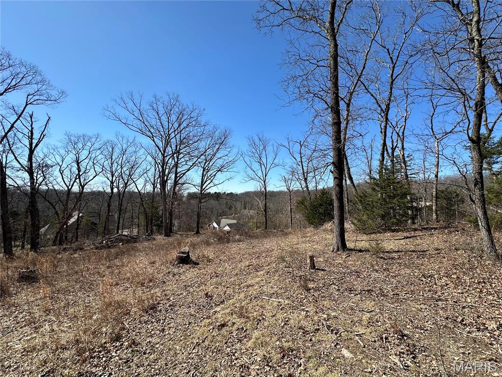 406 Mark Twain Loop