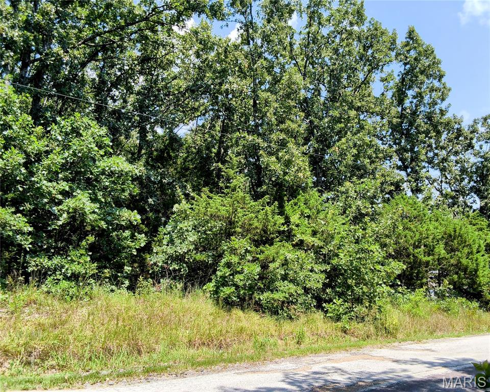 601 Briarwood Drive