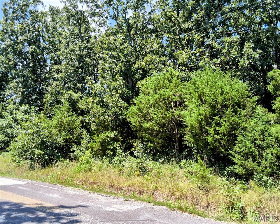 601 Briarwood Drive