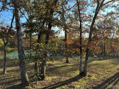 Tiny photo for 1867 Hecker Road, Owensville, MO 65066 (MLS # 26030789)