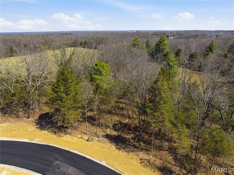 Tiny photo for The Summit at Penelope Valley, Wentzville, MO 63385 (MLS # 26020844)