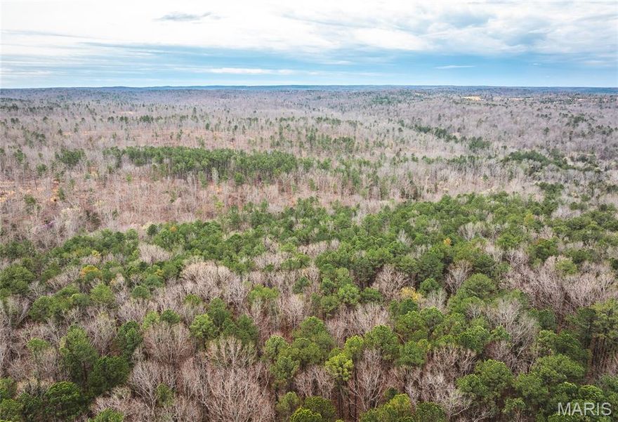 This 1,285± acre tract just outside Potosi, MO, offers a vast, all-around outdoor property with excellent potential. The land is mostly hardwood timber with several open areas created from logging, providing ideal spots for food plots or natural regeneration. Multiple ponds are scattered throughout, some stocked and ready for fishing, and Little Fourche a Renault flows in from the north, supplying a dependable water source for wildlife. A well-laid trail system gives easy access across the entire property for hunting, riding, or managing the land. The mix of timber, new growth, water, and varied terrain creates excellent habitat for deer, turkey, and other game. With easement access from the north and plenty of room to develop it to your vision, this tract is set up for a hunting and recreational retreat with room to add your own improvements.
