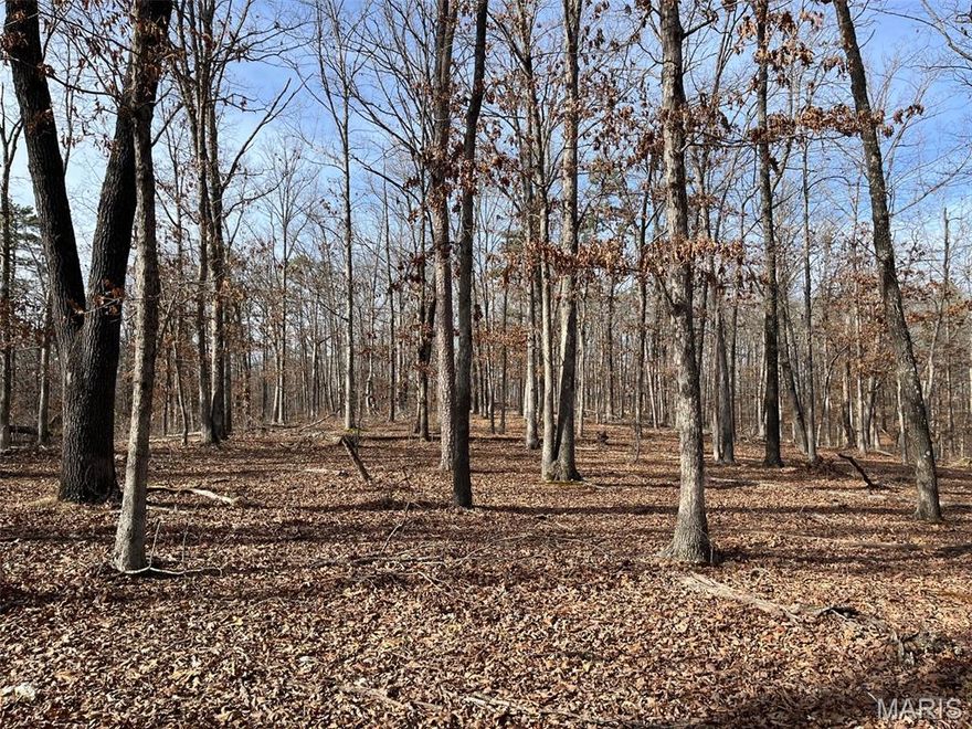 Wooded acreage near Piedmont MO. Consists of 120+/- acres of prime hunting or recreational activities. Property has an undeveloped easement for access. Some marketable timber. The property is not far from Clearwater Lake, Black River, Sam Baker state park, and public land for additional enjoyment.