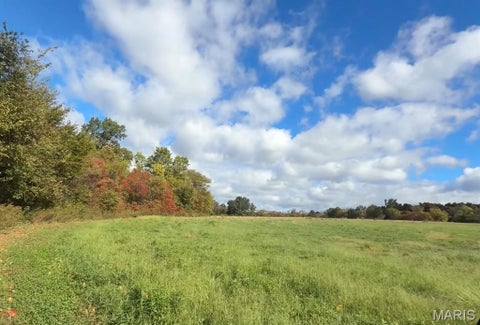 Tiny photo for 1617 Sneak Road, Foristell, MO 63348 (MLS # 26069188)