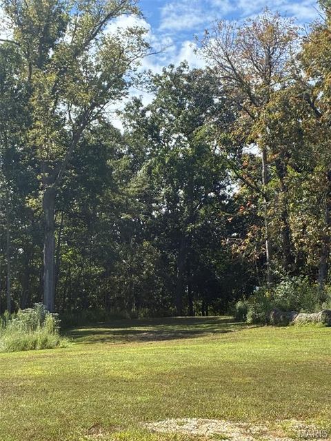 Tiny photo for 51 Parc Forest Trail, Hawk Point, MO 63349 (MLS # 25059798)