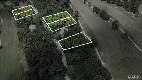 9604 Moonshine Drive Hillsboro MO 63050