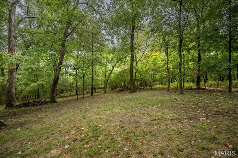 Tiny photo for 1471 Wilton Lane, Kirkwood, MO 63122 (MLS # 26057006)