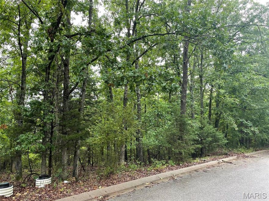 The perfect location for your next development! 22 lots platted and zoned R3.  Located in a beautiful and private subdivision you'll find that this site will be a very desirable place to live. Close to shopping, entertainment, Waynesville schools, easy I44 access, and of course Fort Leonard Wood. Study the survey and begin to make plans! Lots can be purchased individually see duplicate listing #22065134. Additional Rooms: In Platted Subdv.