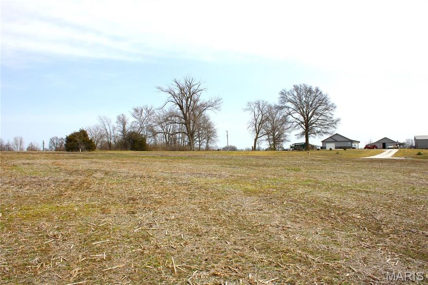 7 surveyed acres tract located on Monroe Road 875 just outside of Paris, MO. The property consists of some open ground with some woods. This property has a really nice new home build site that would offer privacy with the woods surrounding you on three side. The property is also in a great location located just minutes from town, the Schools, and about a 10 min drive to the Mark Twain Lake! Water and Electric are both available.