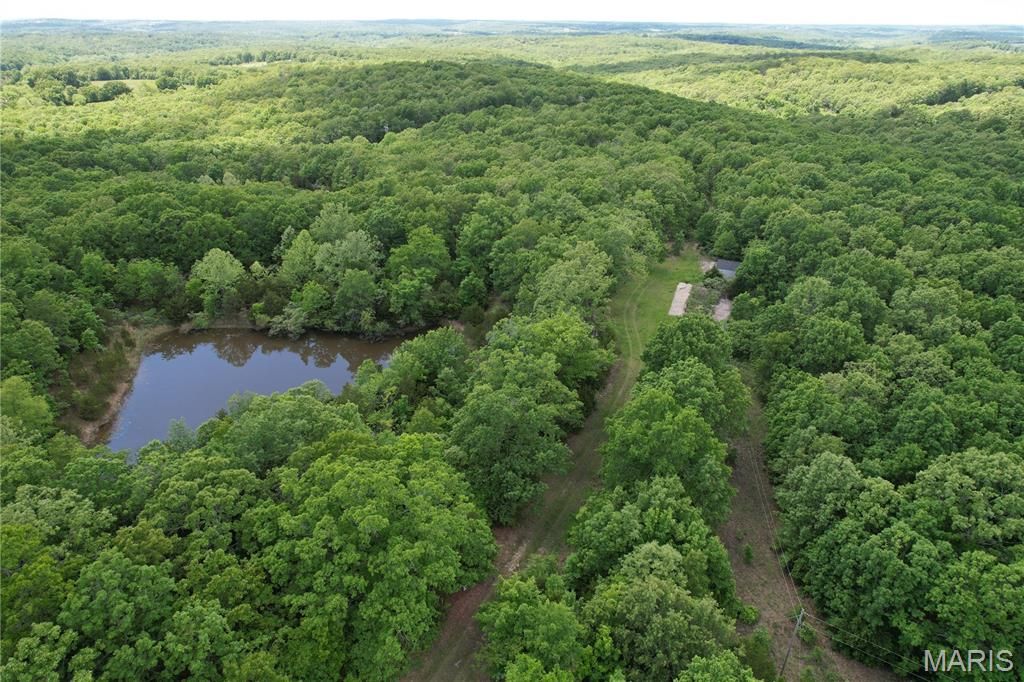 Photo of 12725 Highway 17, Crocker, MO 65452 (MLS # 25073534)