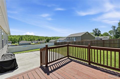 Tiny photo for 23 Hollow Tree Court, Winfield, MO 63389 (MLS # 26030399)