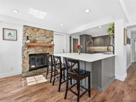 Tiny photo for 1020 Curran Avenue, Kirkwood, MO 63122 (MLS # 26012595)