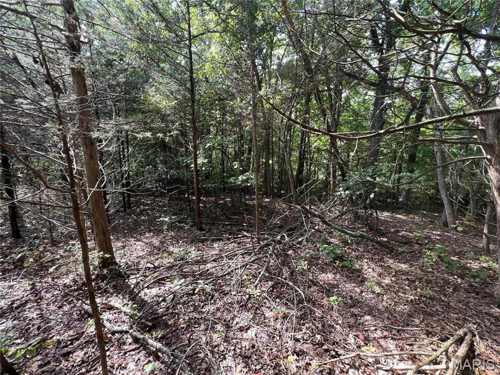 Raintree Plantation Sec 19 - Land