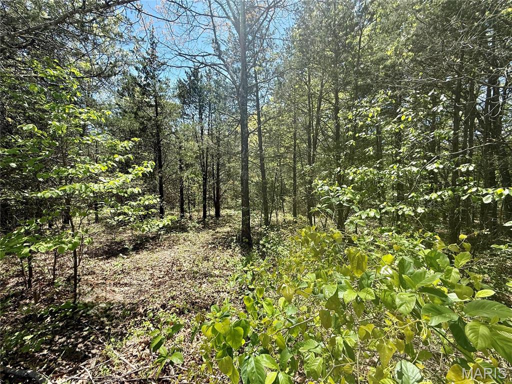 Raintree Plantation Sec 19 - Land