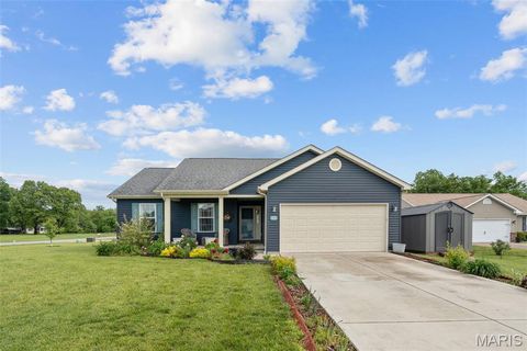Photo of 11 Mandy Court, Troy, MO 63379 (MLS # 26028125)