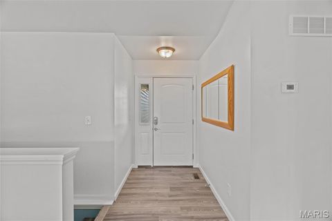 Tiny photo for 11 Mandy Court, Troy, MO 63379 (MLS # 26028125)