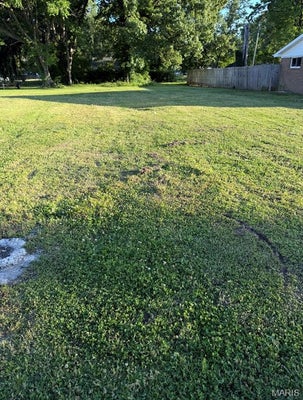 107 W 8TH ST, PORTAGEVILLE, MO 63873 - Image 606ff0c14c94de338b07cb8cf5bccc82/544995747