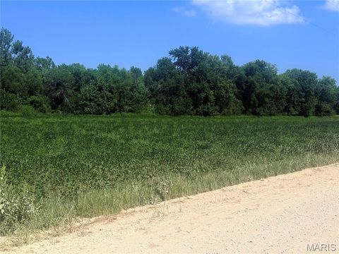 Tiny photo for 209 Pike 209, Clarksville, MO 63336 (MLS # 25022316)