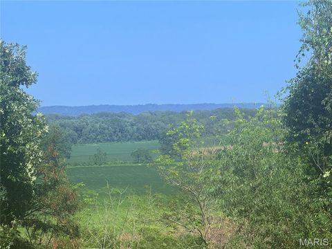 Tiny photo for 209 Pike 209, Clarksville, MO 63336 (MLS # 25022316)