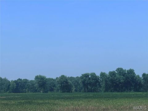 Tiny photo for 209 Pike 209, Clarksville, MO 63336 (MLS # 25022316)