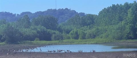 Tiny photo for 209 Pike 209, Clarksville, MO 63336 (MLS # 25022316)