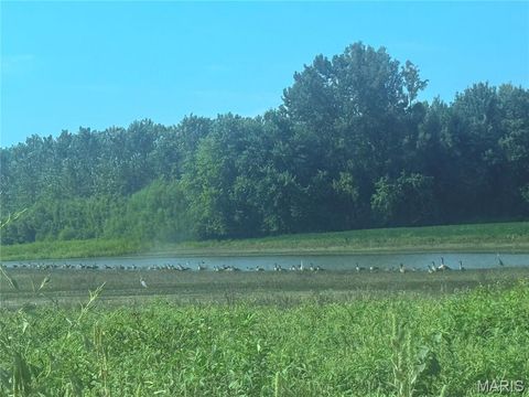 Tiny photo for 209 Pike 209, Clarksville, MO 63336 (MLS # 25022316)