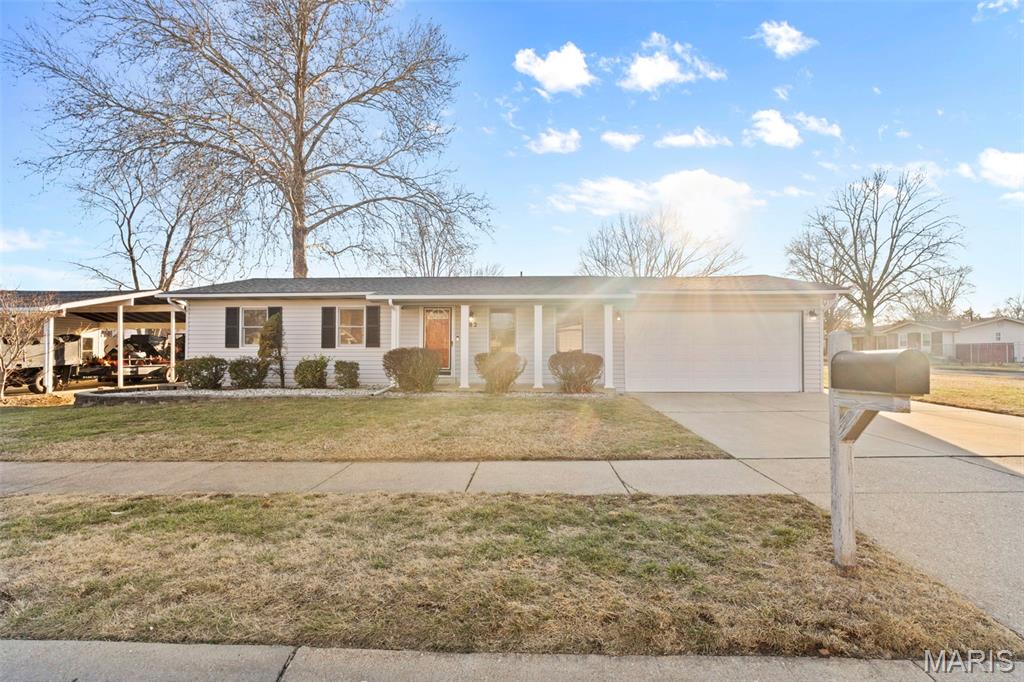 Flamingo Park 17 - Residential