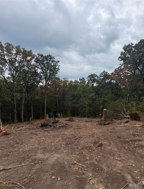 Tiny photo for 5690 Liberty School Road, Hillsboro, MO 63050 (MLS # 26058265)