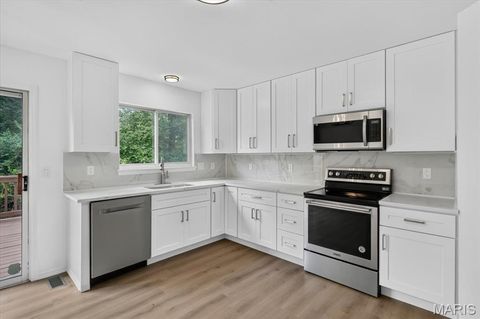 Tiny photo for 416 Johanna Place Drive, Ballwin, MO 63021 (MLS # 26029898)