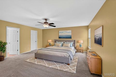 Tiny photo for 416 Johanna Place Drive, Ballwin, MO 63021 (MLS # 26029898)