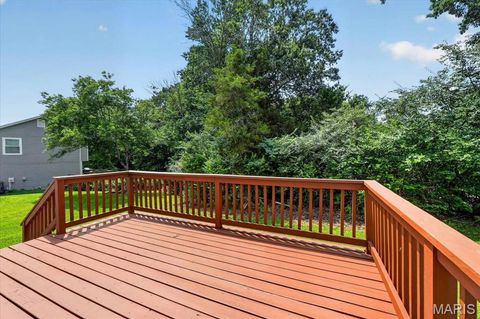 Tiny photo for 416 Johanna Place Drive, Ballwin, MO 63021 (MLS # 26029898)